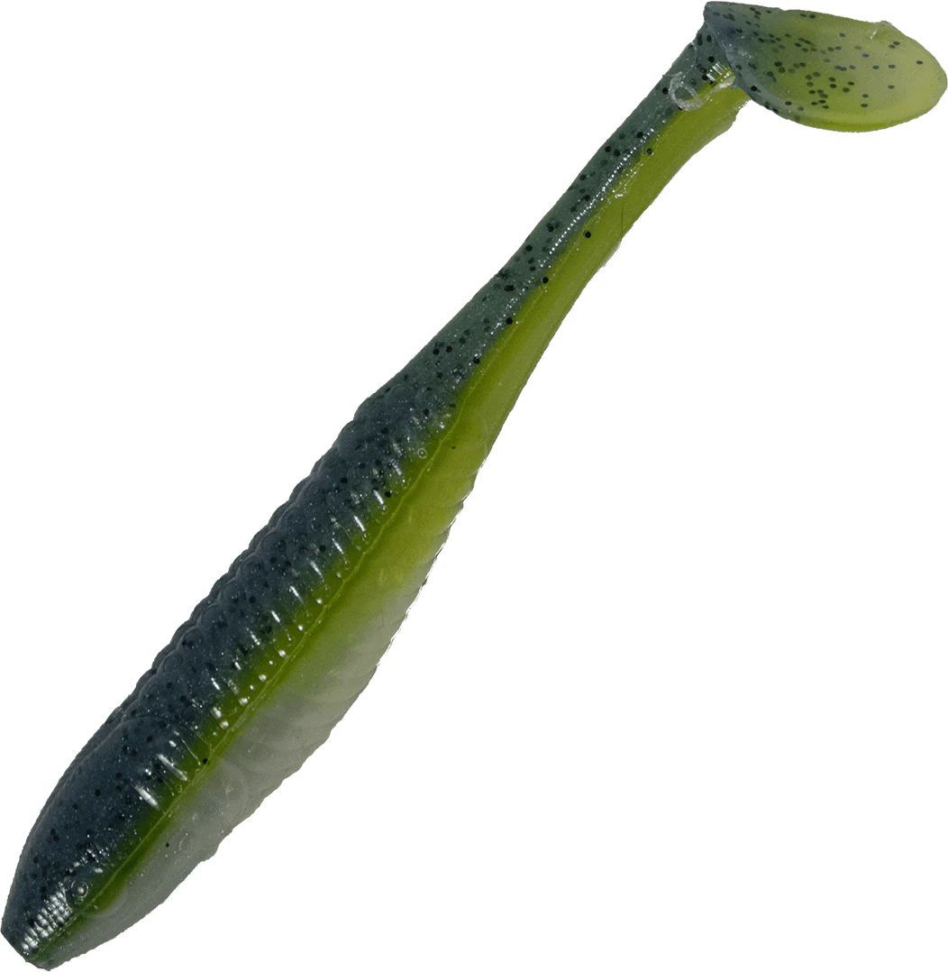 Bambino